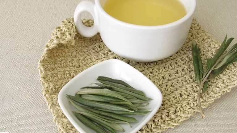 Βελτιώνουν την αρτηριακή πίεση και την υγεία της καρδιάς: Όλα τα οφέλη που έχουν τα φύλλα ελιάς