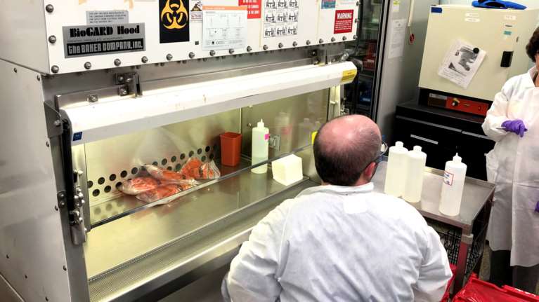 Κορονοϊός - έρευνα: Κινδυνεύουν λιγότερο όσοι έχουν κάνει το εμβόλιο της φυματίωσης;