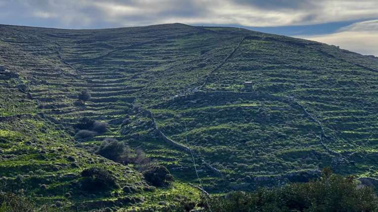 Θρίλερ με την εξαφάνιση πατέρα και γιου από το νοσοκομείο Λαμίας: Πού στρέφονται οι έρευνες μετά από μαρτυρία βοσκού