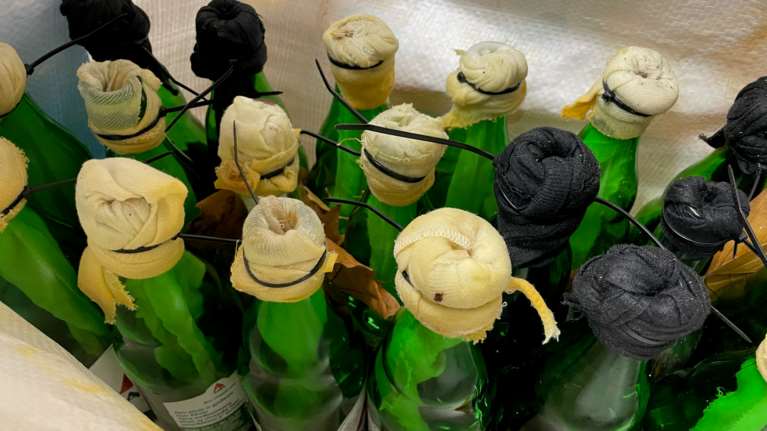 ΑΠΘ: Στο Εγκληματολογικό δεκαεννέα βόμβες μολότοφ σε εξωτερικό χώρο, κοντά στο Χημείο