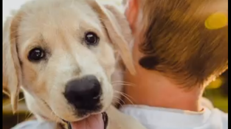 Σύντομα στην αγορά  ρωσικό εμβόλιο κατά του κορονοϊού και για τον εμβολιασμό ζώων