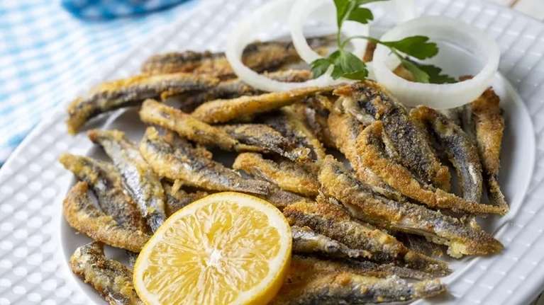 Σαρδέλες, ρέγγα, σολομός: Πώς μπορούν τα &quot;καλά λίπη&quot; της θάλασσας να μας προστατεύσουν;