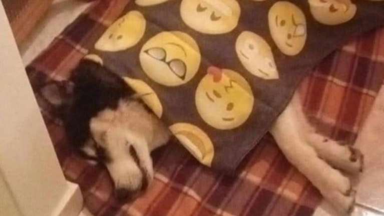 Η Ελενα Ακρίτα ζητά να ανοίξουν τα στόματα για τον Ολιβερ στην Αράχωβα: Όποιος ξέρει και δε μιλάει δεν είναι καλύτερος