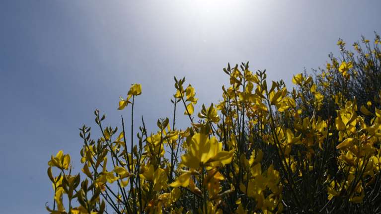 Ο καιρός του Πάσχα: Ανοιξη, νοτιάδες και υψηλές θερμοκρασίες σε όλη τη χώρα