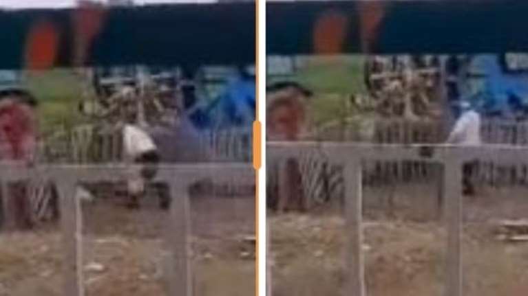 Θεσσαλονίκη: Πρόστιμο 5.000 ευρώ σε 70χρονο μετά από καταγγελία για κακοποίηση ζώου