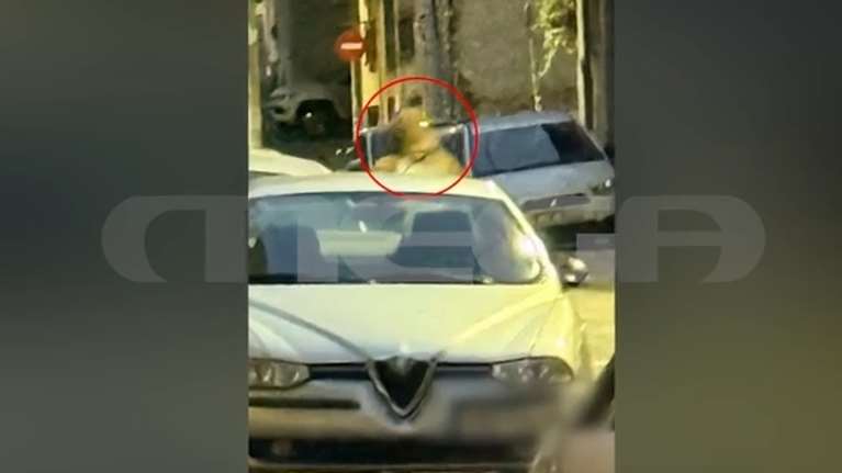 Αλιμος: "Με έντονες γωνίες στο πρόσωπο,  κοντά σκούρα μαλλιά και 1,70", η περιγραφή θύματος για τον "δράκο"