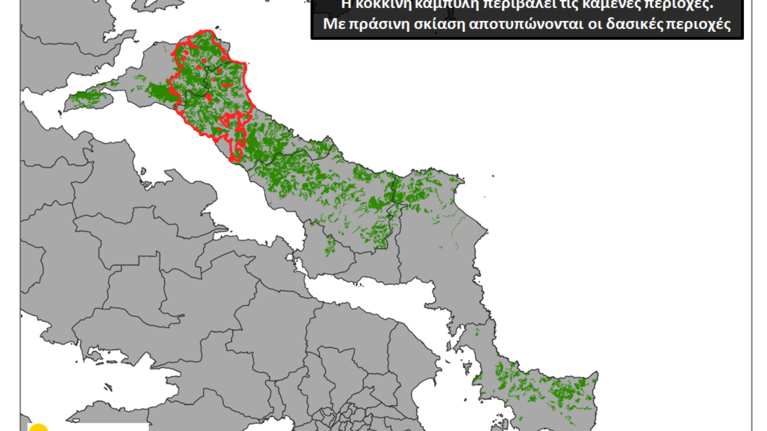 Εκτίμηση σοκ του Αστεροσκοπείου: Η πυρκαγιά έκαψε το ένα τρίτο των δασών της Εύβοιας