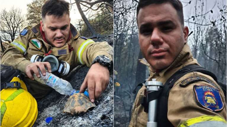 Άκης Μπαρδάκης: Συγκινεί και την Ευρώπη ο πυροσβέστης που έδωσε νερό στη χελώνα - Τον έκανε θέμα η FAZ