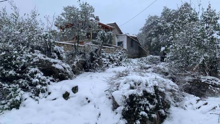 Καλλιάνος: Υποχωρεί ο &quot;Λέανδρος&quot;, παραμένει ο παγετός και οι πολικές θερμοκρασίες - Πότε ανεβαίνει η θερμοκρασία