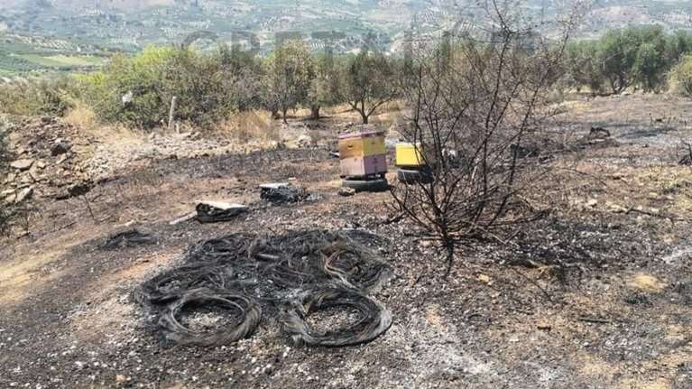 Κρήτη: Πήγε να &quot;καπνίσει&quot; τις μέλισσες και έβαλε φωτιά