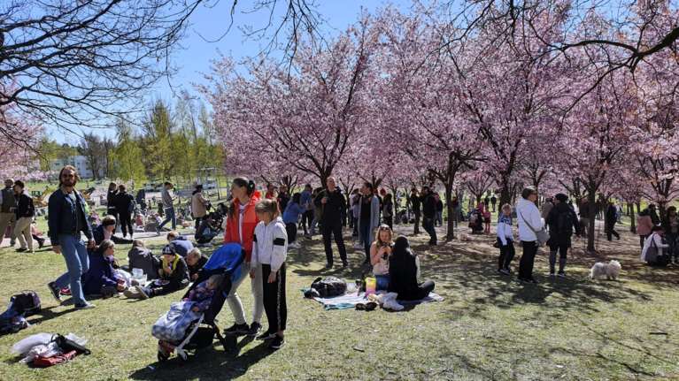 Γέμισαν κόσμο οι παραλίες και τα πάρκα σε όλο τον πλανήτη [εικόνες]