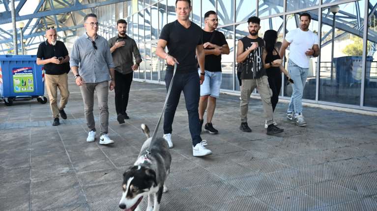 Dogs&#39; Voice: Τι λέει για την υπόθεση υιοθεσίας του πυρόπληκτου σκύλου από τον Στέφανο Κασσελάκη