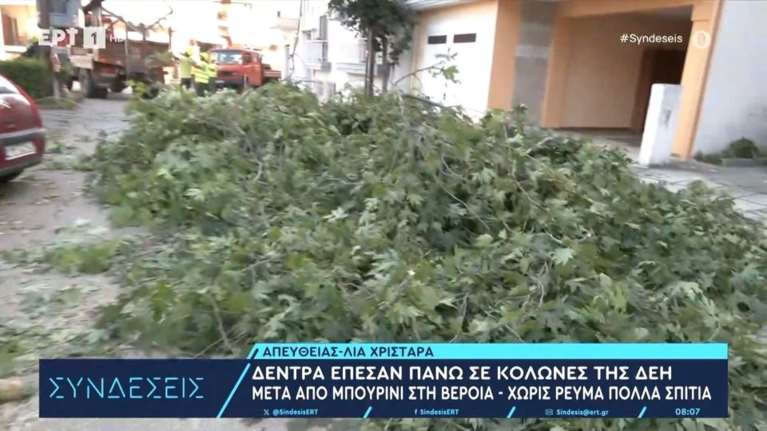 Βέροια: Ξαφνικό μπουρίνι ξήλωσε 15 δέντρα - Έφυγαν στον αέρα λαμαρίνες, στο σκοτάδι η μισή πόλη [βίντεο]