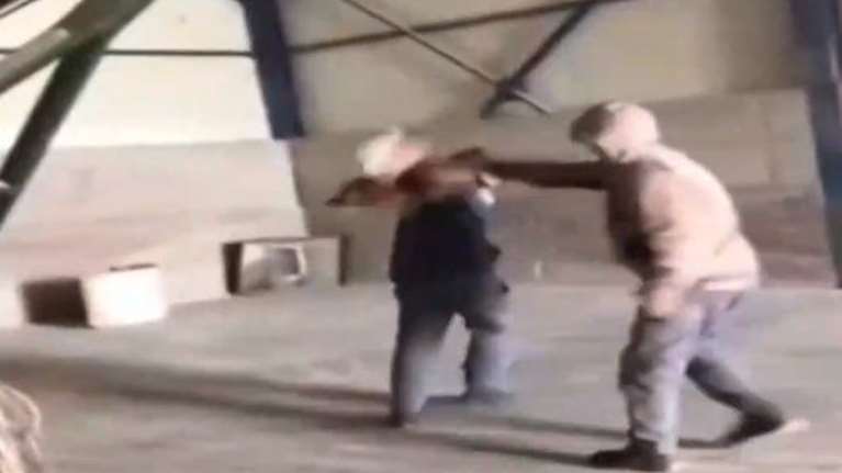 Εύβοια: Νέο σοκ με κακοποίηση ζώου – &quot;Διασκέδαζαν&quot; βασανίζοντας μια κοτούλα  [Βιντεο]