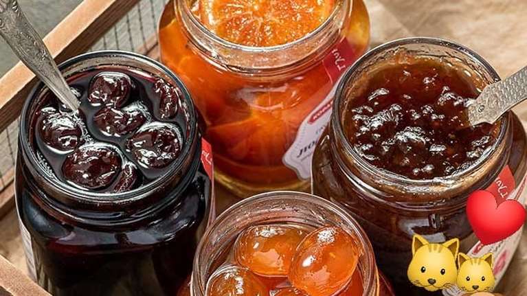 Με γλυκά του κουταλιού φτιαγμένα με τα χεράκια μας βοηθούμε την Ελληνική Φιλοζωική - Δείτε πως