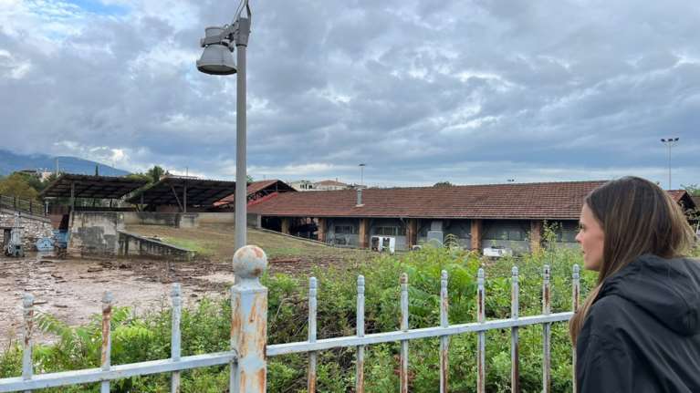 Αχτσιόγλου: Σε πληγείσες περιοχές της Θεσσαλίας έγιναν πλειστηριασμοί το τελευταίο τριήμερο