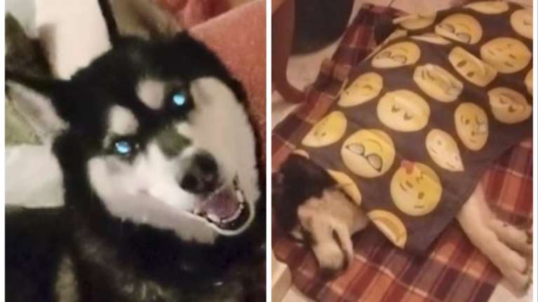 Δίνει συμπληρωματική κατάθεση ο κηδεμόνας του Ολιβερ: Μην αντικρίσει κανείς αυτό που είδα, λέει εξοργισμένος