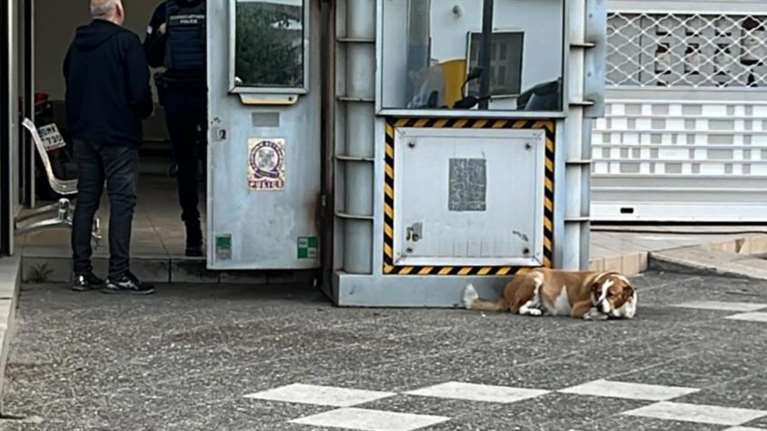 Σάλος στο twitter με το &quot;περιπολικό δεν είναι ταξί&quot;:  &quot;Ενας ταξιτζής θα την προστάτευε περισσότερο από την αστυνομία&quot;