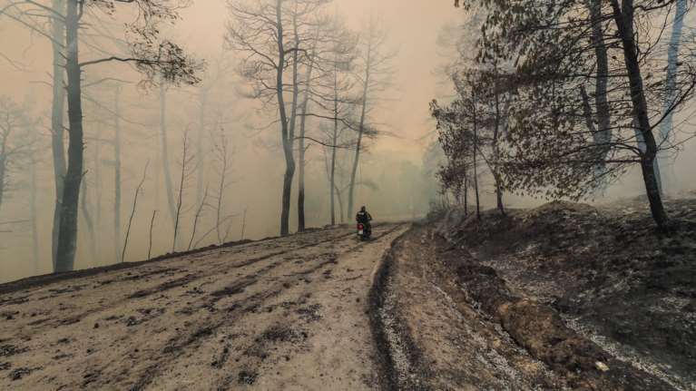 Φωτιά Εύβοια - Δραματικές εκκλήσεις: Θέλουμε επιτέλους σοβαρό αριθμό εναερίων μέσων-Κίνδυνος να κατεβεί προς κεντρική Εύβοια