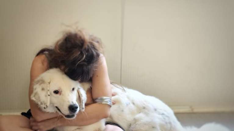 Σώστε ένα αδεσποτάκι: Κοιτάξτε φατσούλα - Ο Μπάρνεϊ μπορεί να σας αλλάξει τη ζωή - Είναι τυφλός, μας χρειάζεται