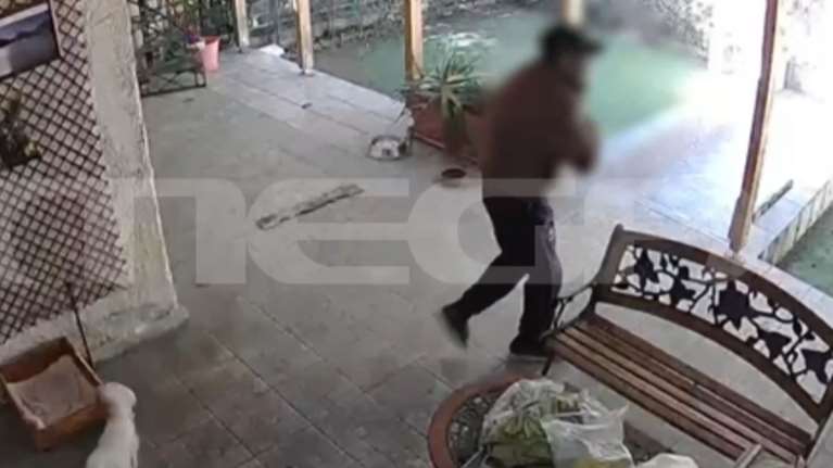 Έκλεψαν σκύλο μέρα μεσημέρι από αυλή σπιτιού - Βίντεο ντοκουμέντο