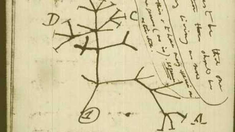 Απίστευτο: Κλοπή σημειωματαρίων του Δαρβίνου από το Κέμπριτζ δηλώθηκε 20 χρόνια αργότερα - Τι συνέβη