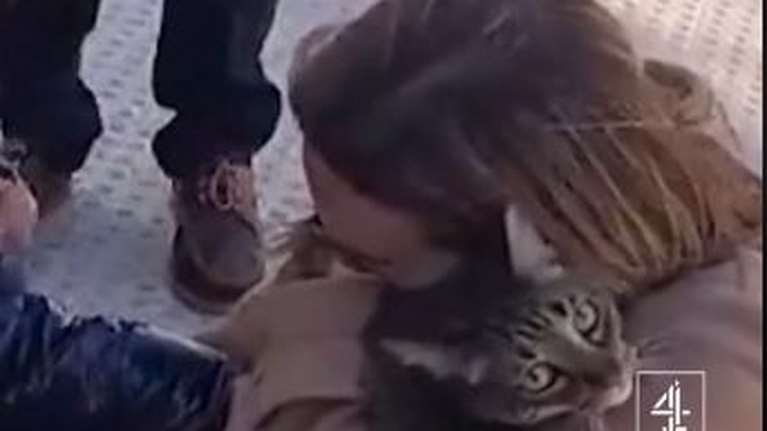 Βαλένθια: Οκτώ ημέρες μετά τη φωτιά οι πυροσβέστες βρήκαν έναν απίθανο επιζώντα, τον Κόκο τον γάτο