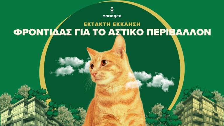 Βοηθήστε τα ζώα και τα φυτά της γειτονιάς σας στον καύσωνα