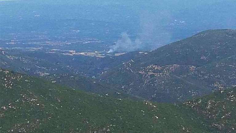 Σε εξέλιξη δασική πυρκαγιά στην Ηλεία - Ισχυρές δυνάμεις της Πυροσβεστικής στο σημείο