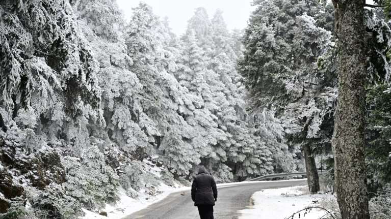 Meteo: Με χιόνι καλύφθηκε το 21% της χώρας - Τι δείχνουν τα δορυφορικά δεδομένα