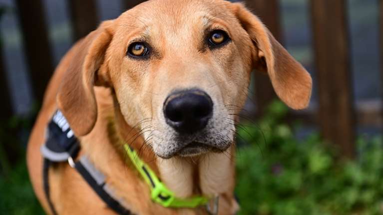 Ο Adam είναι καθαρόαιμο μάλαμα: Από εκείνους τους άνδρες που υπάρχουν στη ζωή σου και αισθάνεσαι ασφαλής