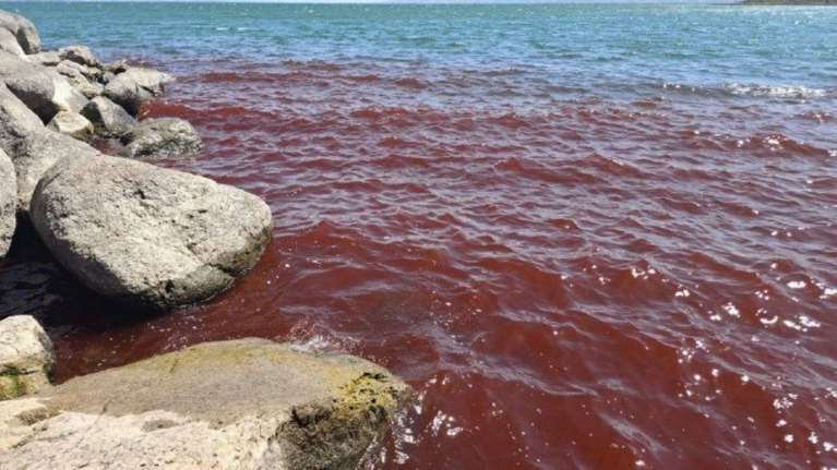 Κοκκίνισαν τα νερά στη Θάλασσα της Γαλιλαίας – Η εξήγηση που δίνουν οι επιστήμονες