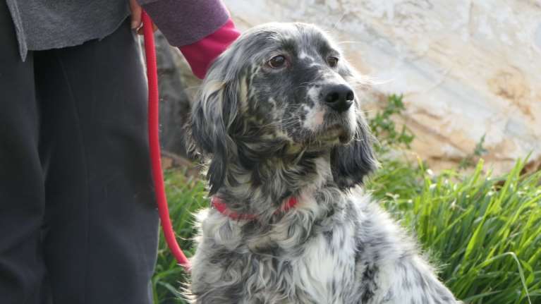 Δεν είναι Dolce & Gabbana, Louis Vuitton, Bailmain, Marc by Marc Jacobs, Michael Kors, Chanel... Είναι η Κλειώ, η υπέροχη