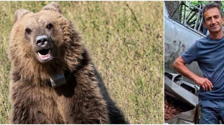 Γιατί επιτέθηκε η αρκούδα στη Δράμα: Ο ειδικός της περιβαλλοντικής οργάνωσης Καλλιστώ εξηγεί πώς πρέπει να αντιδράσουμε