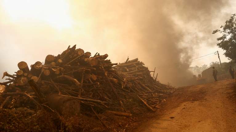 Πύλος: Σε εξέλιξη πυρκαγιά στην περιοχή Τουλούπα - Σηκώθηκαν και εναέρια μέσα