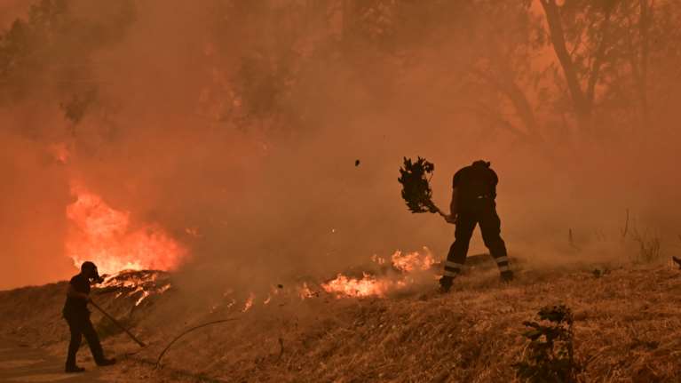 Συνολάκης: Να μάθουμε να ζούμε με τις φωτιές – Χρειάζεται τοπική οργάνωση με εθελοντές