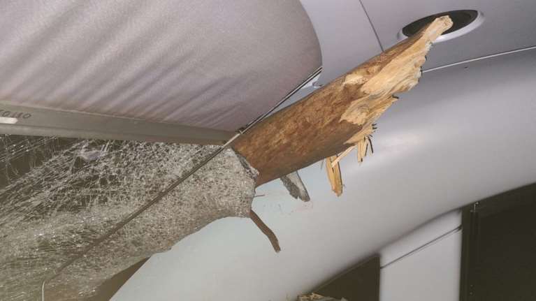 Αθάνατο ελληνικό Δημόσιο: ΟΣΕ και Δασαρχεία &quot;τσακώνονται&quot; ποιος έχει την ευθύνη για την κοπή των δέντρων στις ράγες του τρένου