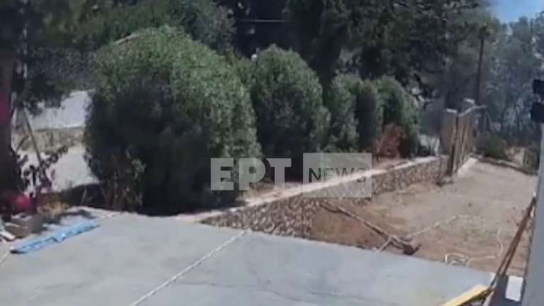 Βίντεο-ντοκουμέντο από το ξεκίνημα της πυρκαγιάς στο Θυμάρι