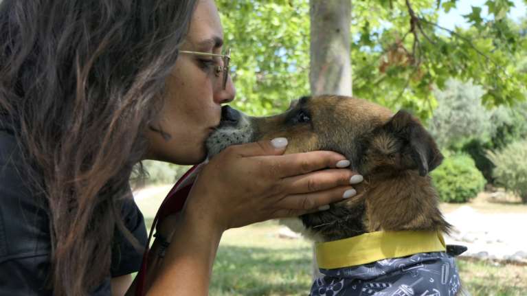 Σώστε ένα αδεσποτάκι: Ο Ρόκο, του έχουμε υποσχεθεί πως πίσω δεν θα τον αφήσουμε να κοιτάξει ποτέ ξανά