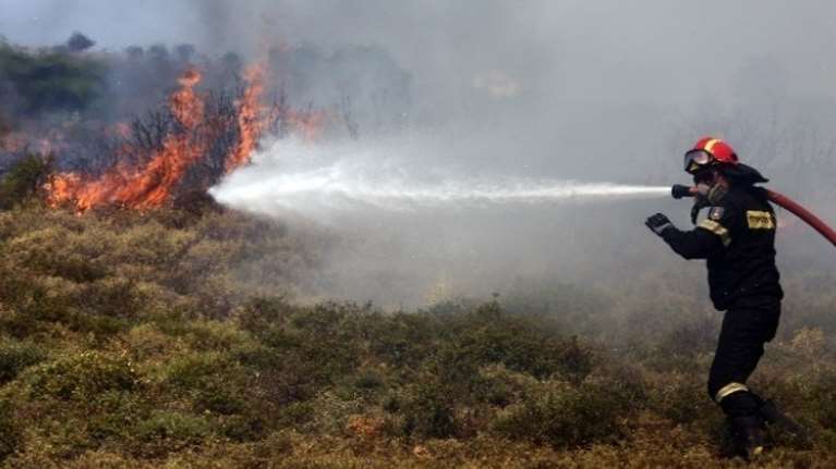 Εύβοια: Πυρκαγιά σε δασική έκταση στην Κάρυστο - Εκκενώνεται το χωριό Ποτάμι [Βίντεο]