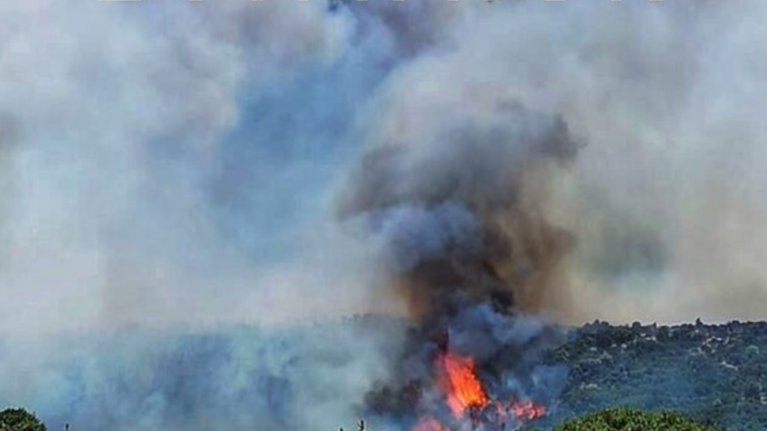 Πρόεδρος Κοινότητας Ραπταίων: Η φωτιά είναι πολύ μεγάλη, καίει μέσα σε χαράδρα [ εικόνες]