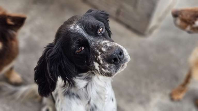 Δεν είναι κρίμα η Μελίνα να ζει μόνη της; Πώς της αρέσει να έχει ανθρώπους γύρω της