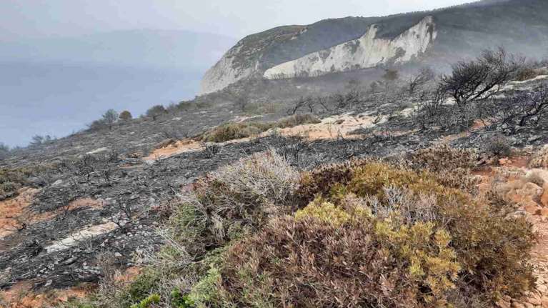 Πυρκαγιά στη Ζάκυνθο: Κρανίου τόπος η περιοχή πάνω από το Ναυάγιο - Οριοθετήθηκε η φωτιά [βίντεο]