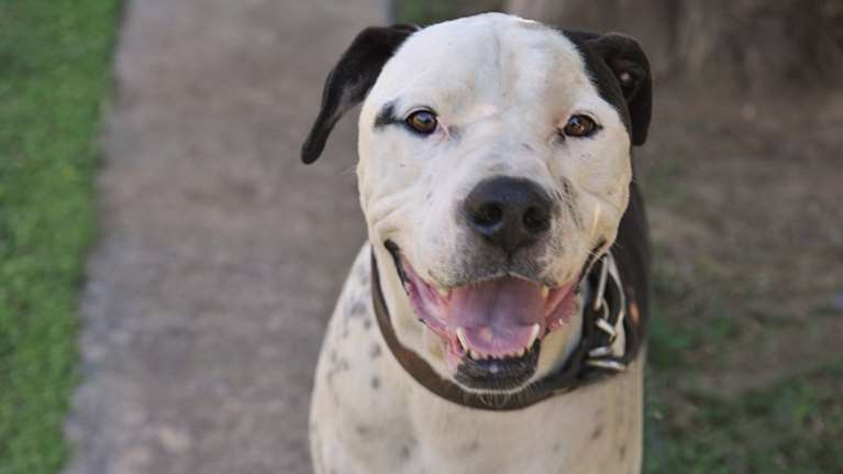 Η ιστορία του Δούκα: Από τον δρόμο στα μαξιλάρια και από κει πάλι στο δρόμο