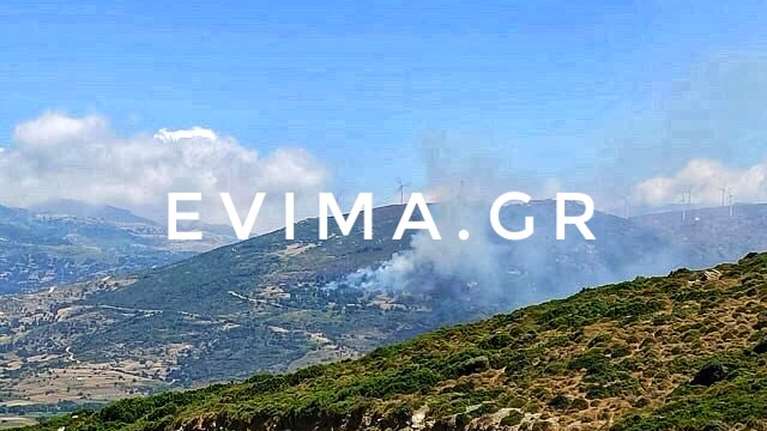 Συναγερμός στην Εύβοια: Μεγάλη φωτιά στην Κάρυστο - Πνέουν ισχυροί άνεμοι