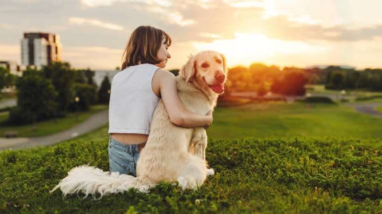 Ποια είναι τα &quot;φοβικά&quot; σκυλιά: Τα πέντε βασικά βήματα για να ξεχάσουν τις φοβίες τους