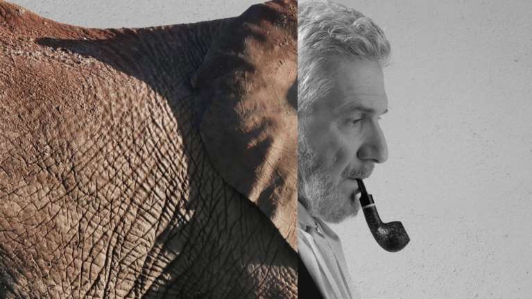 Πού θα δούμε φέτος στο θέατρο τους Μιχαήλ Ταμπακάκη, Δημήτρη Καπουράνη, Πυγμαλίωνα Δαδακαρίδη και Άρη Λεμπεσόπουλο;