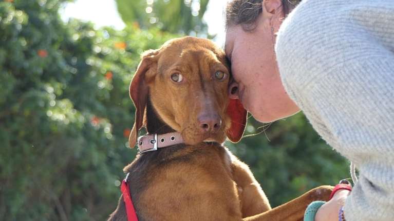 Η Όλιβ σε αγκαλιάζει τρυφερά και απαλά - Για οτιδήποτε την αγχώνει, είσαι το αποκούμπι της