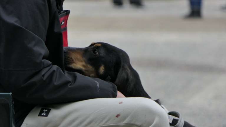 Ένας ζωντανός σκελετός ήταν η Φρίντα: Το αποστεωμένο της κορμί κουνιόταν πέρα δώθε κάθε φορά που έβλεπε άνθρωπο