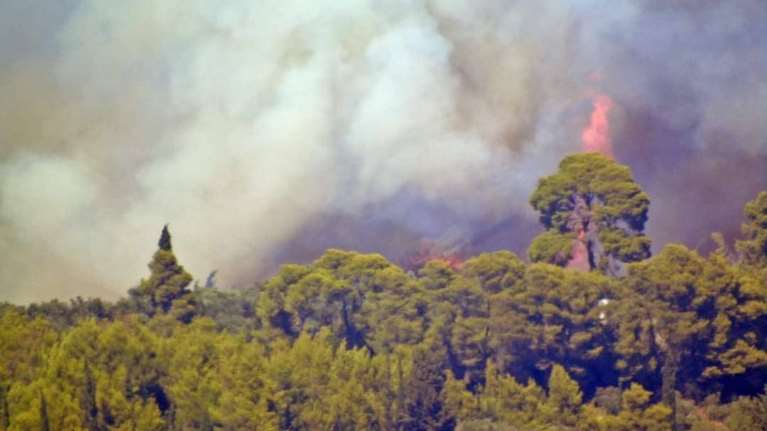 Πυρκαγιές στην Ηλεία: &quot;Κάτι περίεργο συμβαίνει&quot;… λένε τα στελέχη της Πυροσβεστικής